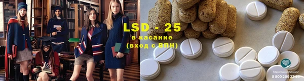 стафф Покачи