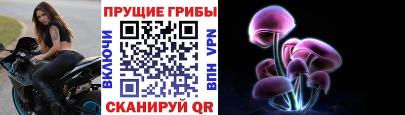 Псилоцибиновые грибы MAGIC MUSHROOMS  Липки 